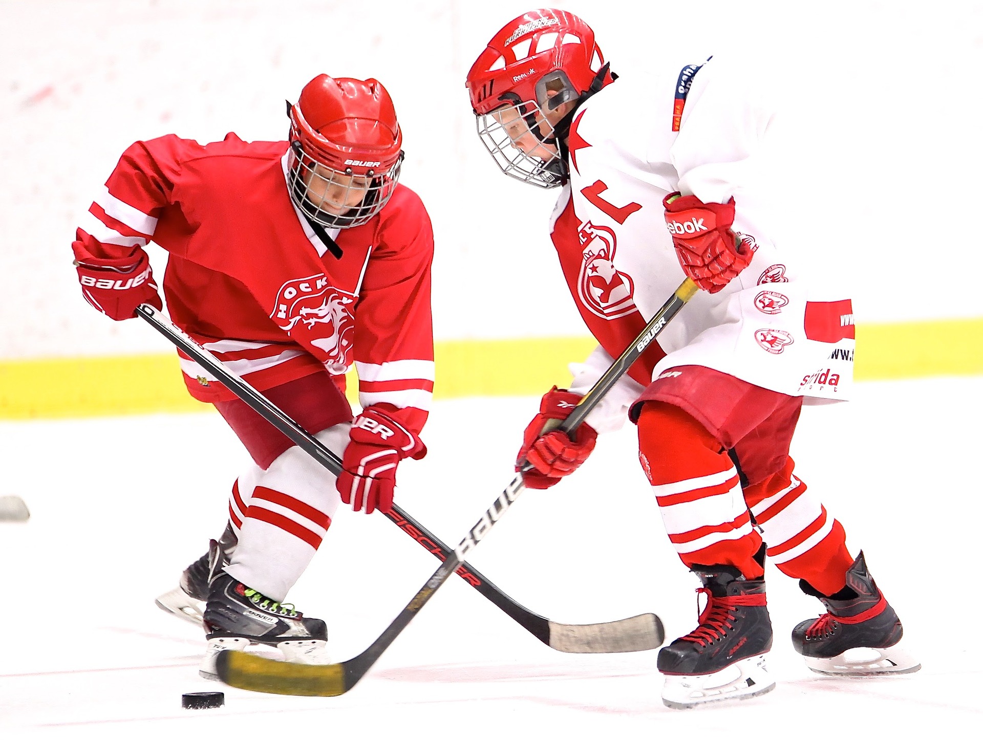 What does hockey and STEM have in common?